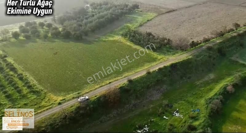 Bergama Ayasköy Mahallesinde 4838 M2 Yolu Olan Arazi - Görsel 5