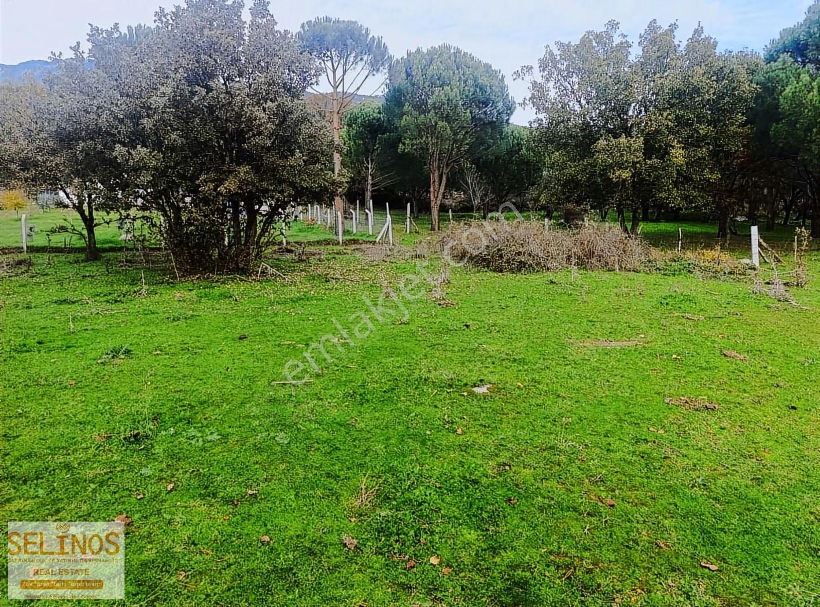 Hacıhamzalar Köyünde 4 Tapu Birden Satılık - Görsel 14