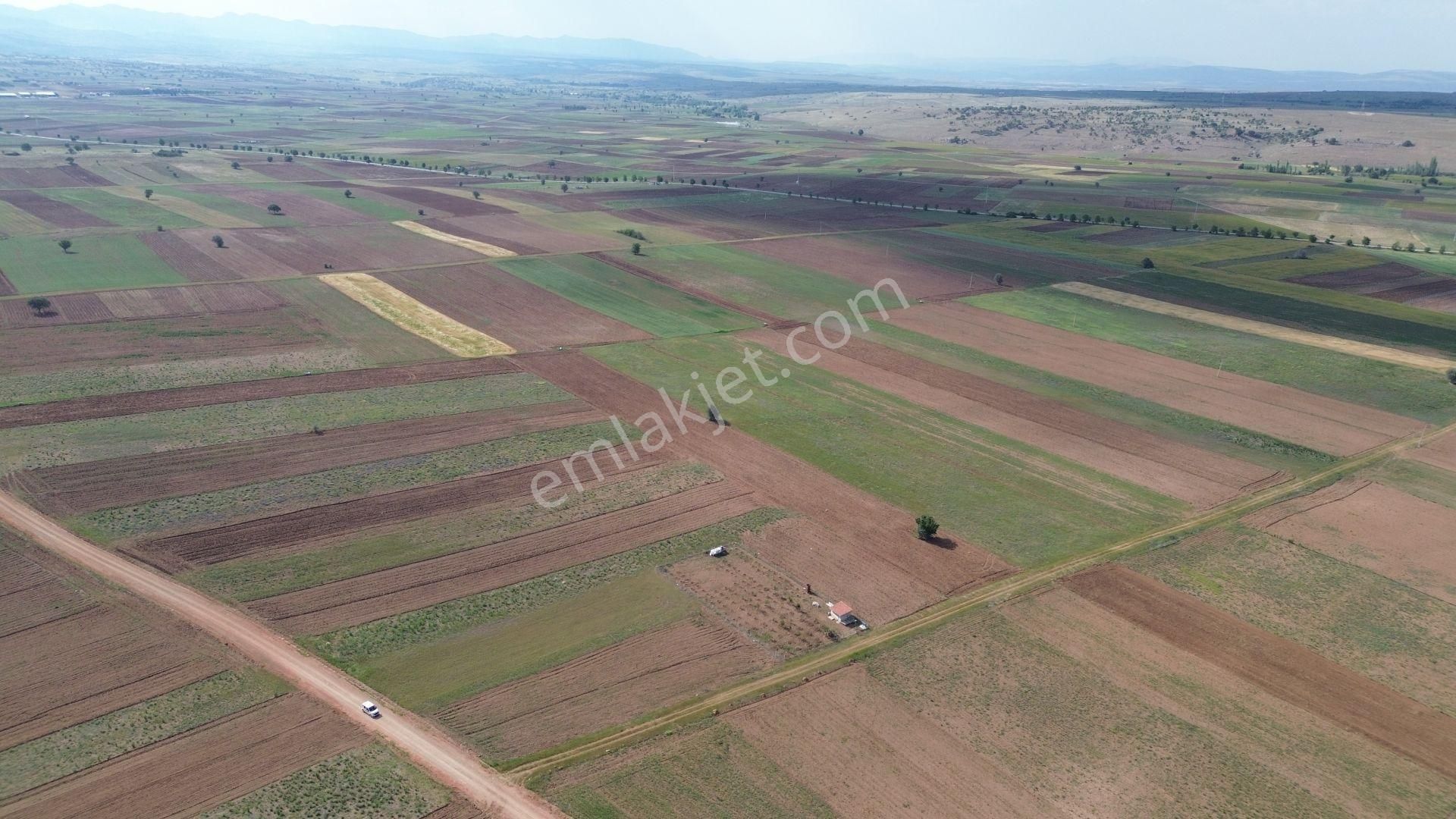 Konya / Akören / Hacılar Mahallesinde 5.936 M² Müstakil Tapulu Tarla - Görsel 4