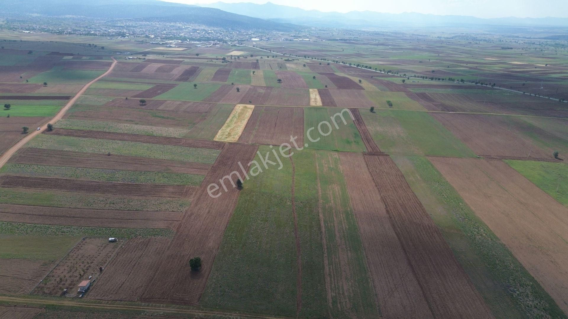 Konya / Akören / Hacılar Mahallesinde 5.936 M² Müstakil Tapulu Tarla - Görsel 7