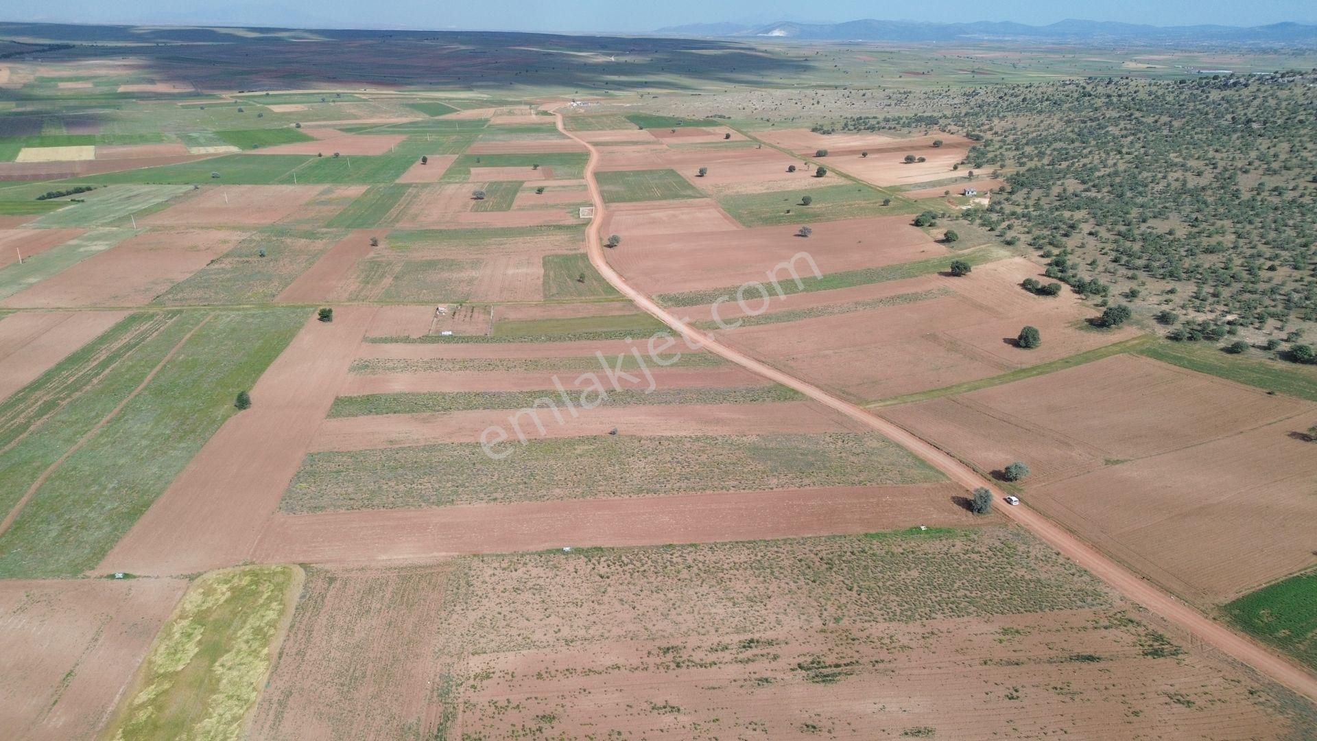 Konya / Akören / Hacılar Mahallesinde 5.936 M² Müstakil Tapulu Tarla - Görsel 8