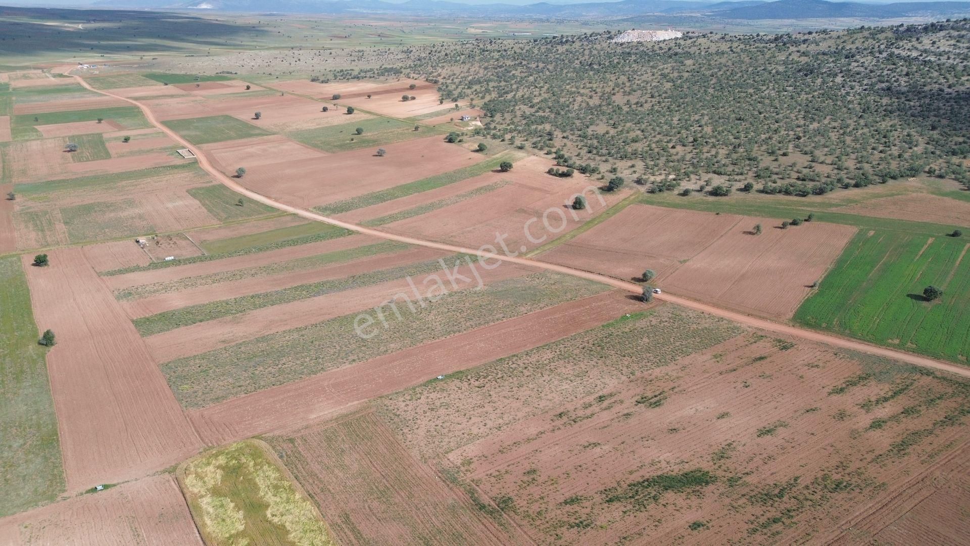 Konya / Akören / Hacılar Mahallesinde 5.936 M² Müstakil Tapulu Tarla - Görsel 5
