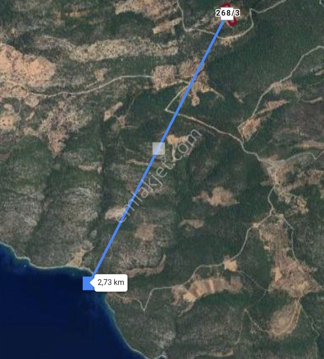 Bodrum Yalıçiftlikte 342 M2 Hisse Tapulu Tarla - Görsel 3