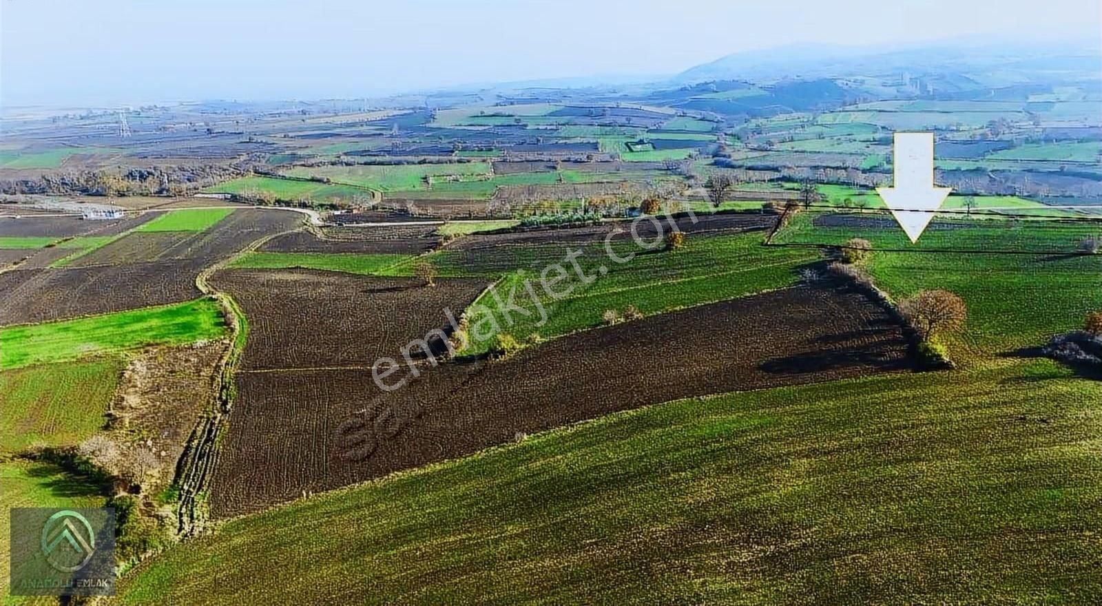 Çanakkale Biga Koruoba Deniz,kadastro Ve Köy Yoluna Yakın Tarla