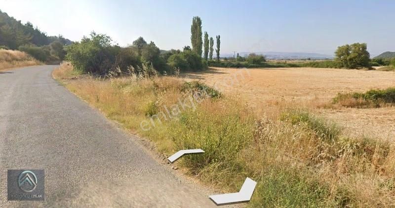 Çanakkale Eceabat Yalova Köyü Satılık Fırsat Tarla