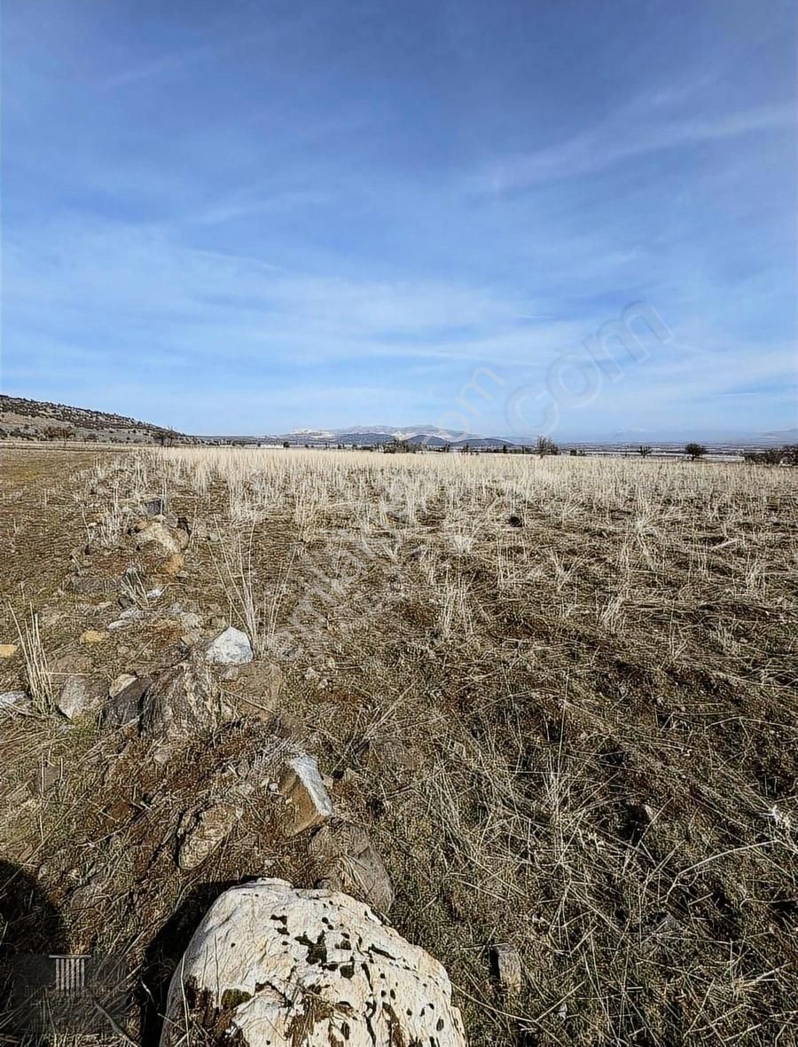 Tefenni Zafer Mahallesinde Sera Yapımına Uygun 5277m2 Tarla - Görsel 6