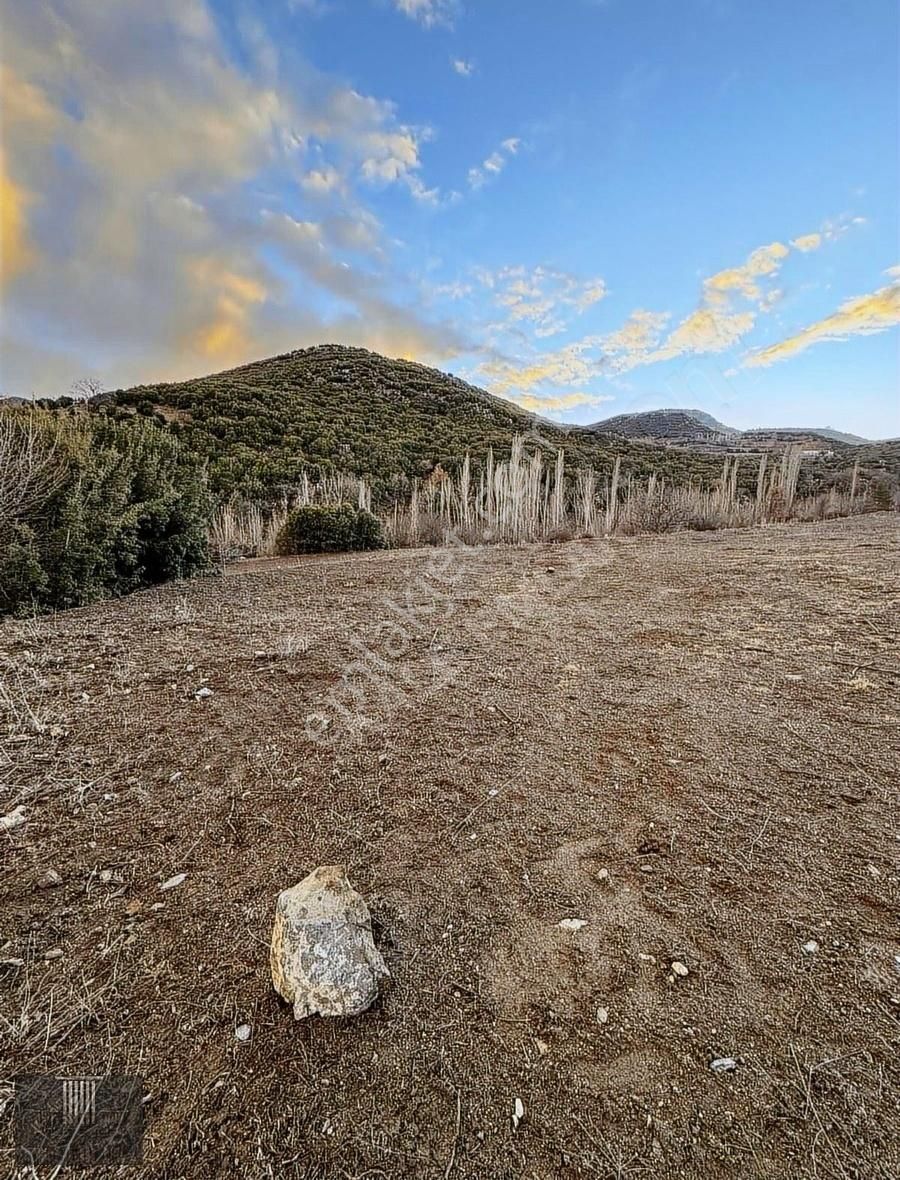 Çavdır Kozağaç'ta Sera Yapımına Uygun 18 Dönüm Bahçe