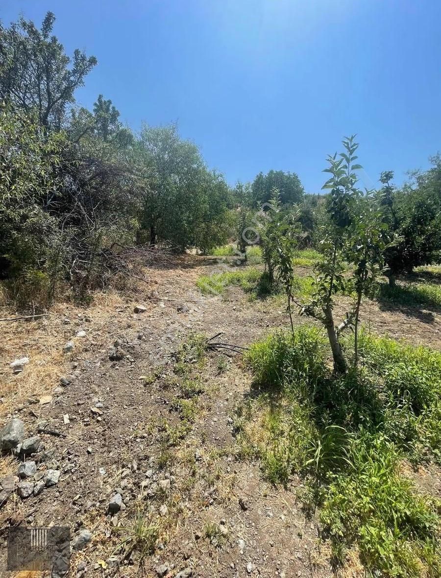 Eğirdir Sorkuncak Karabağlar Mevkii 2.089 M2 Satılık Tarla - Görsel 2