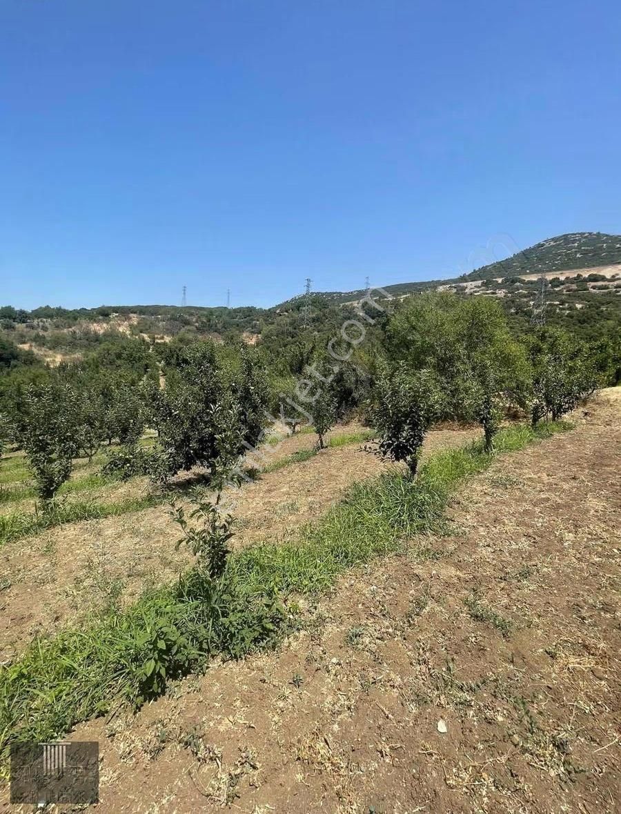 Eğirdir Sorkuncak Karabağlar Mevkii 2.089 M2 Satılık Tarla - Görsel 10