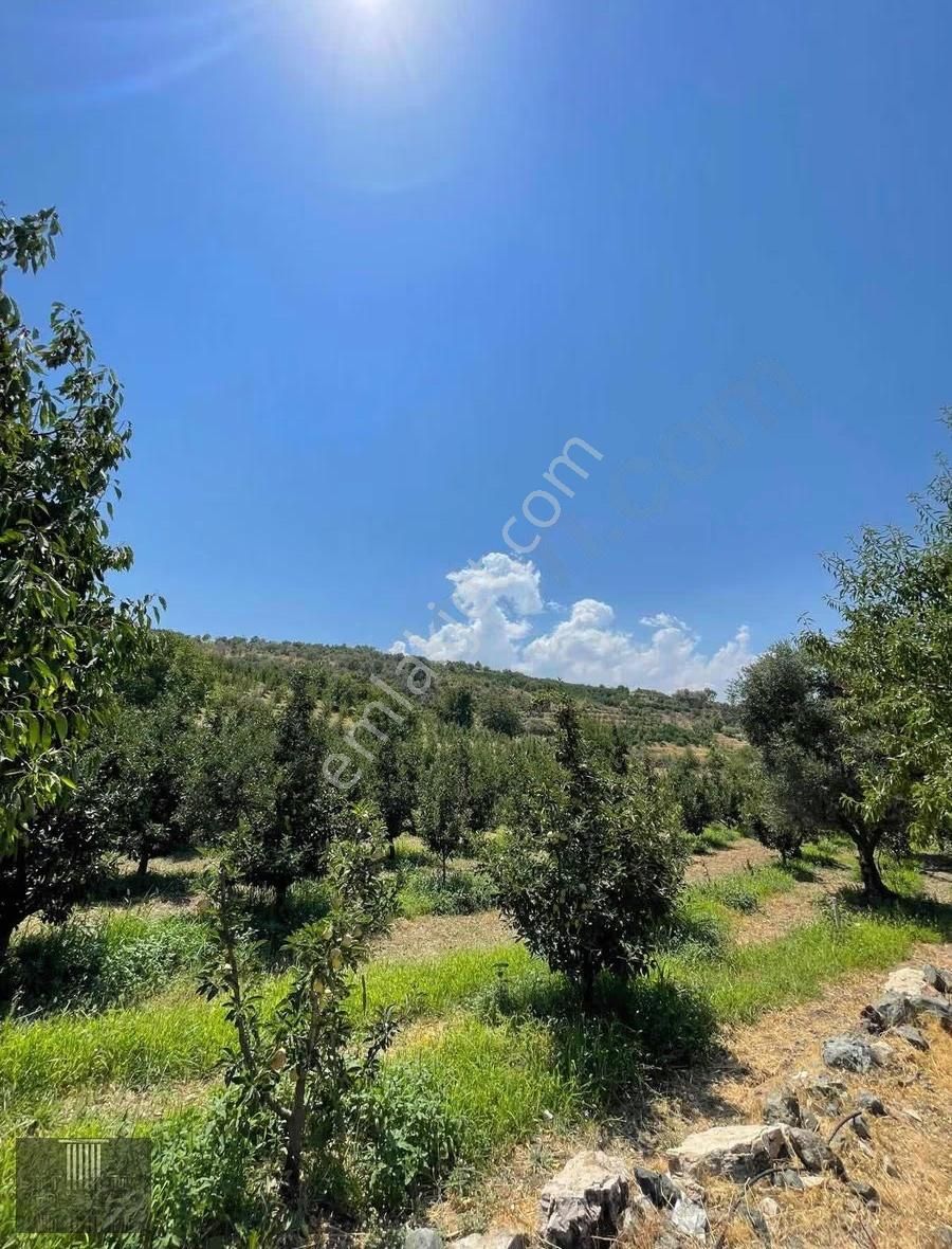 Eğirdir Sorkuncak Karabağlar Mevkii 2.089 M2 Satılık Tarla - Görsel 7