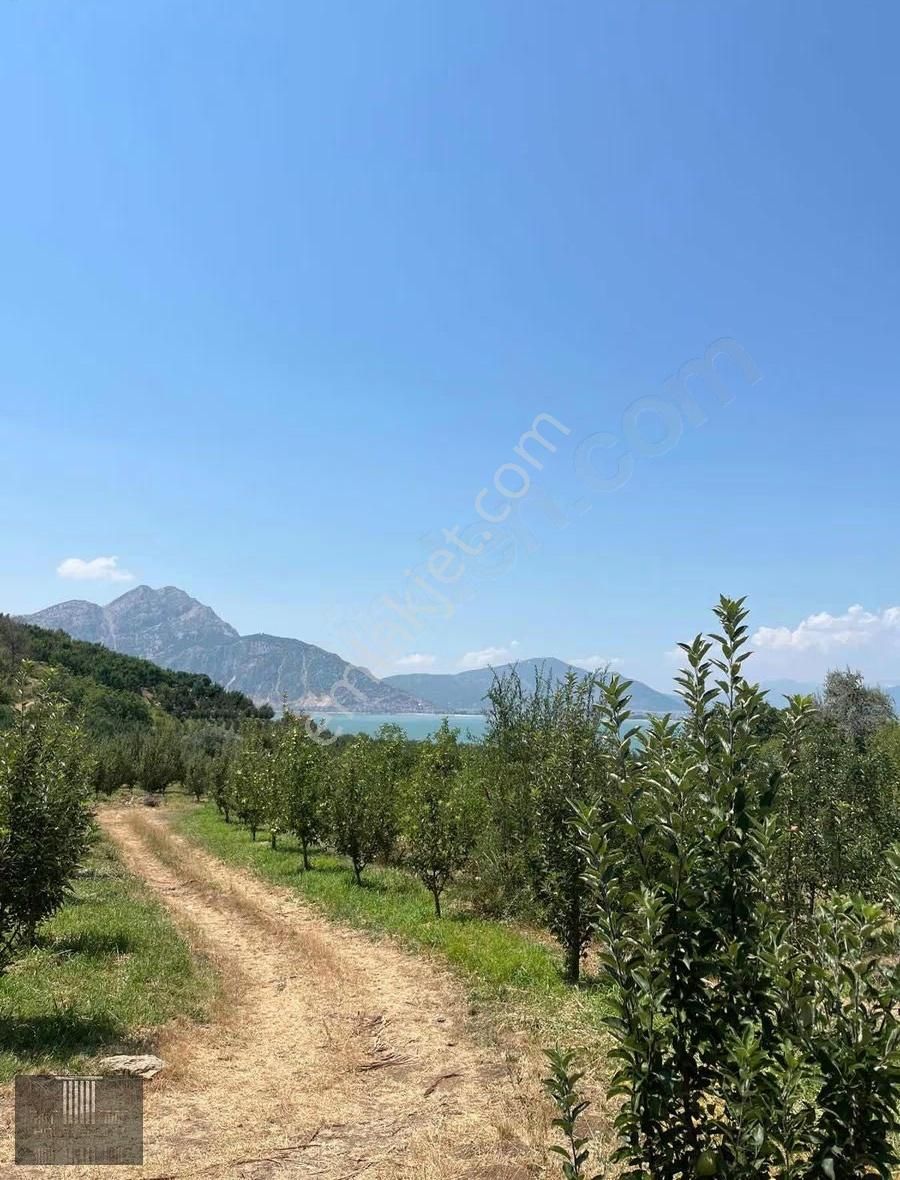 Eğirdir Sorkuncak Karabağlar Mevkii 2.089 M2 Satılık Tarla