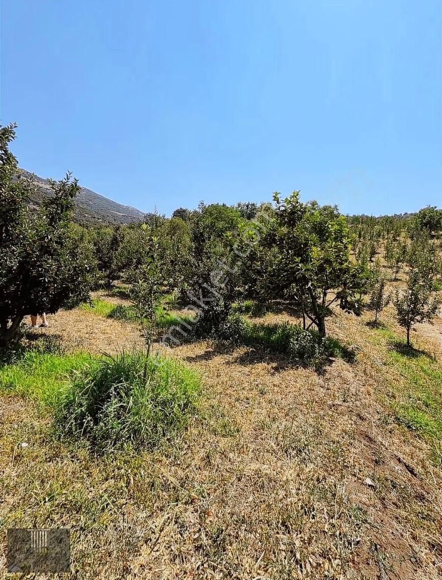 Eğirdir Sorkuncak Karabağlar Mevkii 2.089 M2 Satılık Tarla - Görsel 12