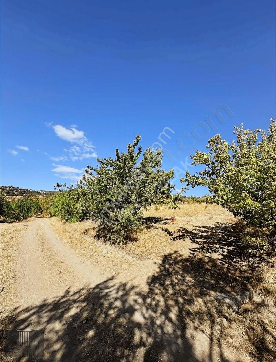 Kale Emlak'tan Gelendost Esinyurtta Kaçmaz Fırsat - Görsel 15