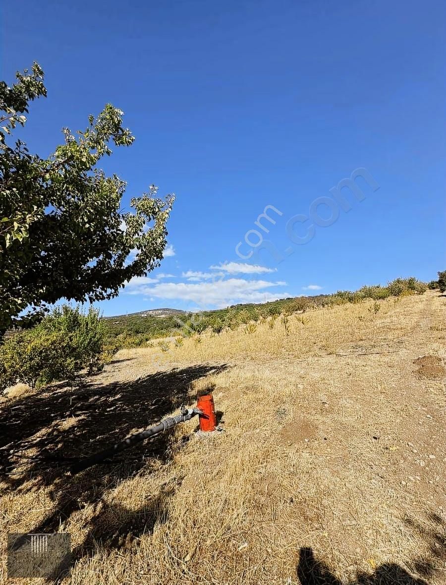 Kale Emlak'tan Gelendost Esinyurtta Kaçmaz Fırsat - Görsel 11