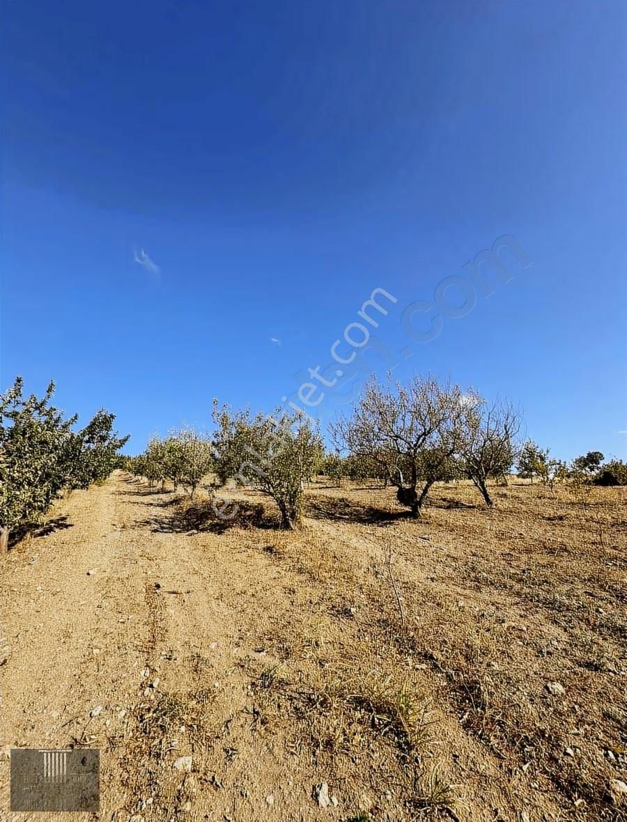 Kale Emlak'tan Gelendost Esinyurtta Kaçmaz Fırsat - Görsel 5