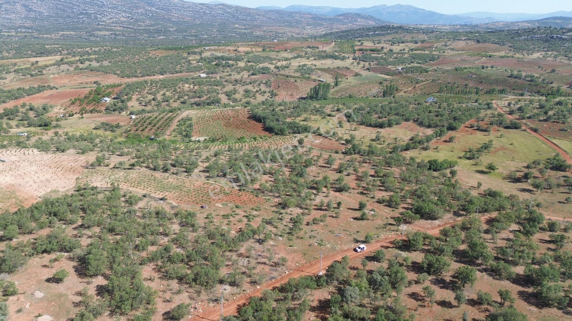 Bozkır Hamzalar Da 726 M2 Müstakil Tapulu Elektrik Alınabilir Bahçe - Görsel 11