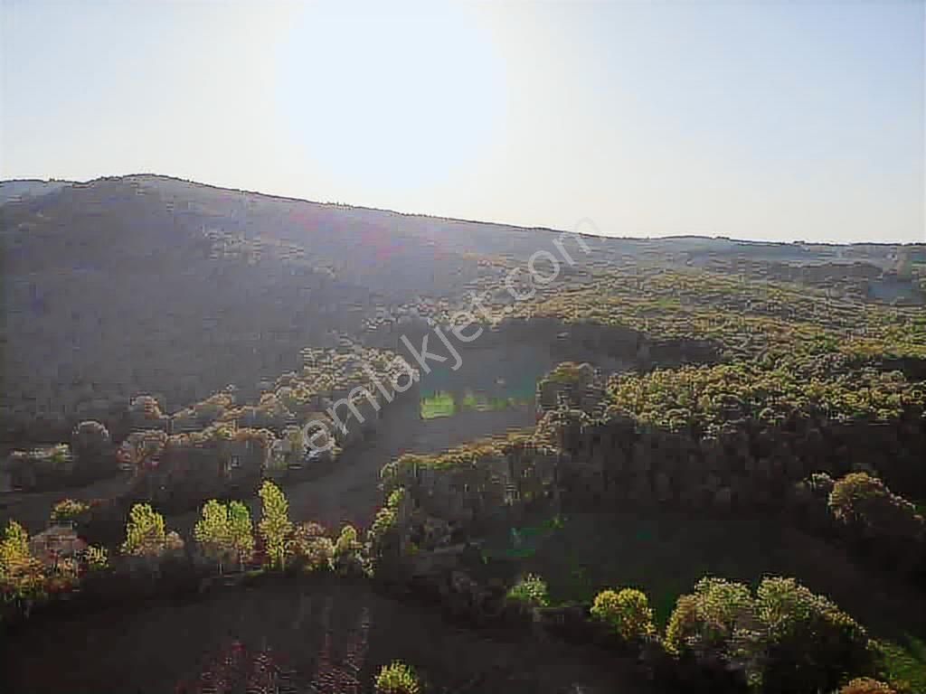 Selçuklu Emlak Mustafa Kemalpaşa Söğütalan İmarlı Arsa 2.5 Kat - Görsel 15