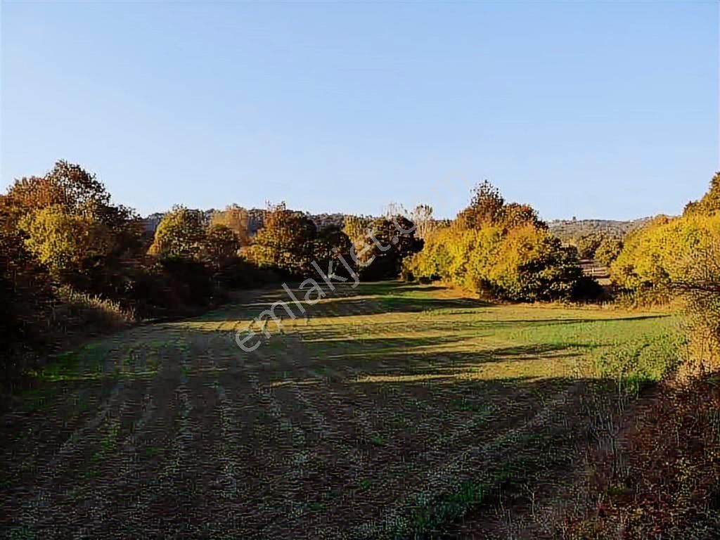 Selçuklu Emlak Mustafa Kemalpaşa Söğütalan İmarlı Arsa 2.5 Kat - Görsel 8