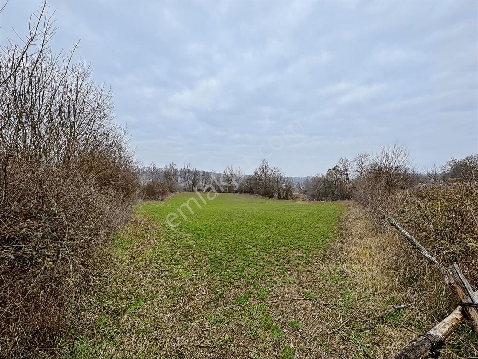 Selçuklu Emlak Mustafa Kemalpaşa Söğütalan İmarlı Arsa 2.5 Kat - Görsel 12