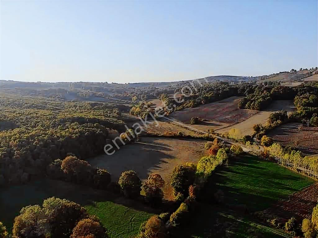 Selçuklu Emlak Mustafa Kemalpaşa Söğütalan İmarlı Arsa 2.5 Kat - Görsel 16