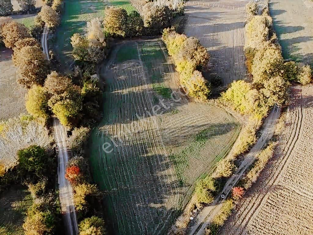 Selçuklu Emlak Mustafa Kemalpaşa Söğütalan İmarlı Arsa 2.5 Kat - Görsel 11