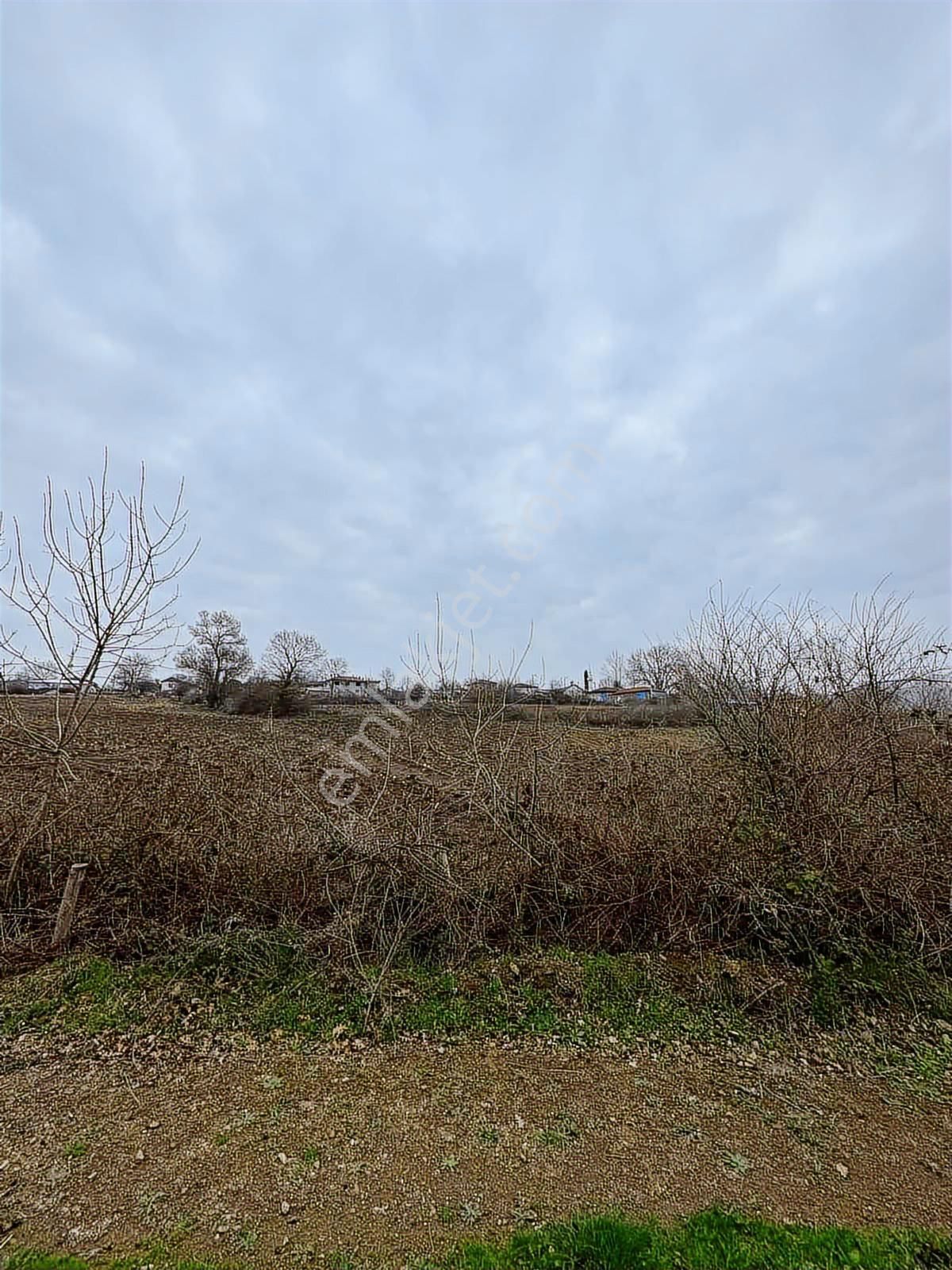 Selçuklu Emlak Mustafa Kemalpaşa Söğütalan İmarlı Arsa 2.5 Kat - Görsel 33