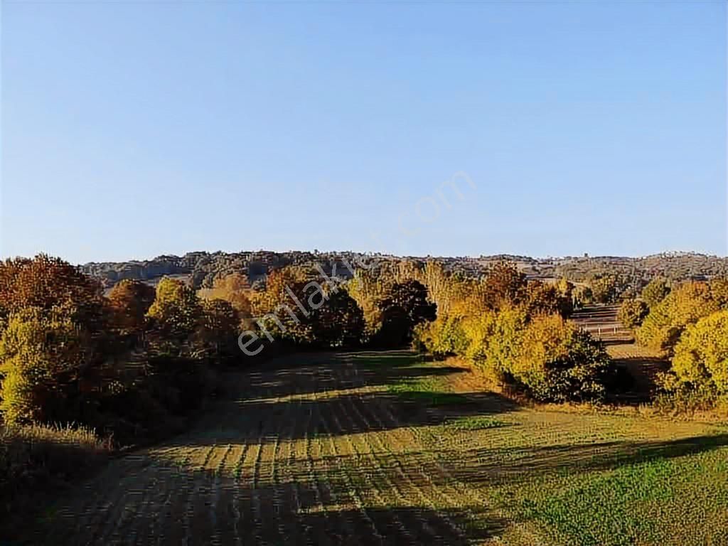 Selçuklu Emlak Mustafa Kemalpaşa Söğütalan İmarlı Arsa 2.5 Kat - Görsel 7