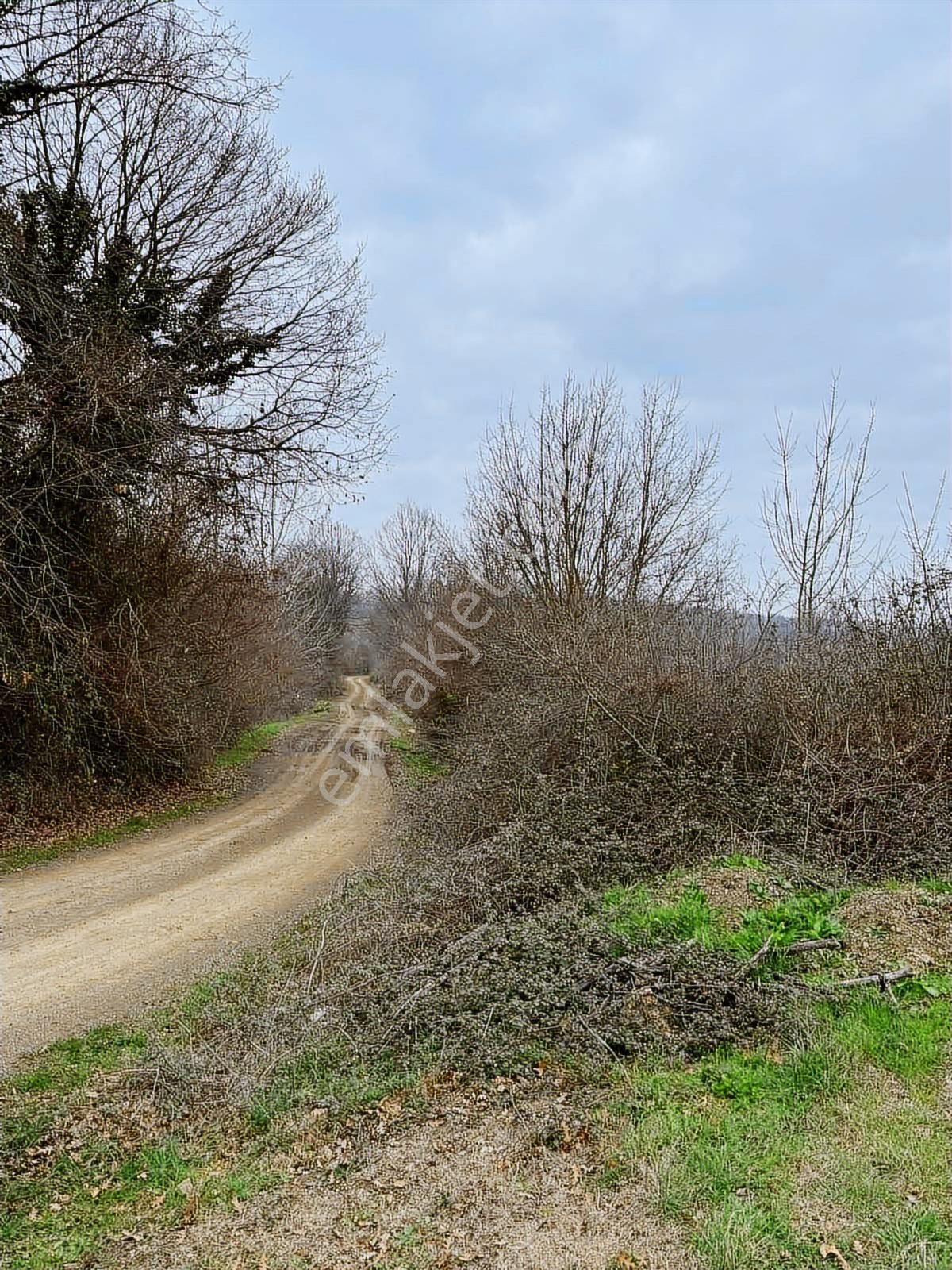 Selçuklu Emlak Mustafa Kemalpaşa Söğütalan İmarlı Arsa 2.5 Kat - Görsel 32