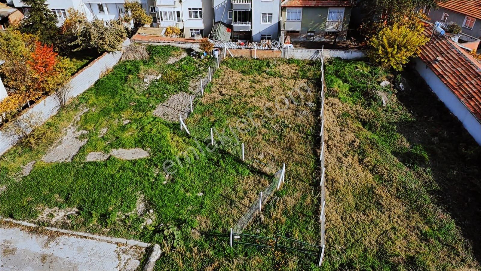 Merzifon Arsa Satılık - Görsel 5