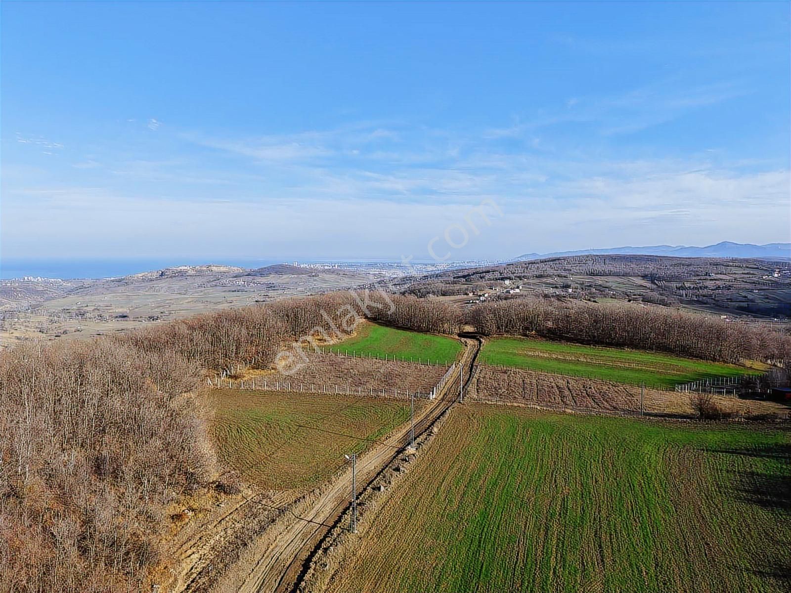 Atakum Köselli Köyünde Yerleşik Alan İçinde 885 M2 Satılık Tarla - Görsel 12