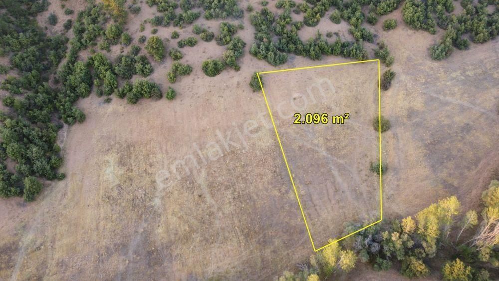 Konya / Ilgın / Belekler'de Ormana Cephe Müstakil 2.096 M² Tarla - Görsel 4
