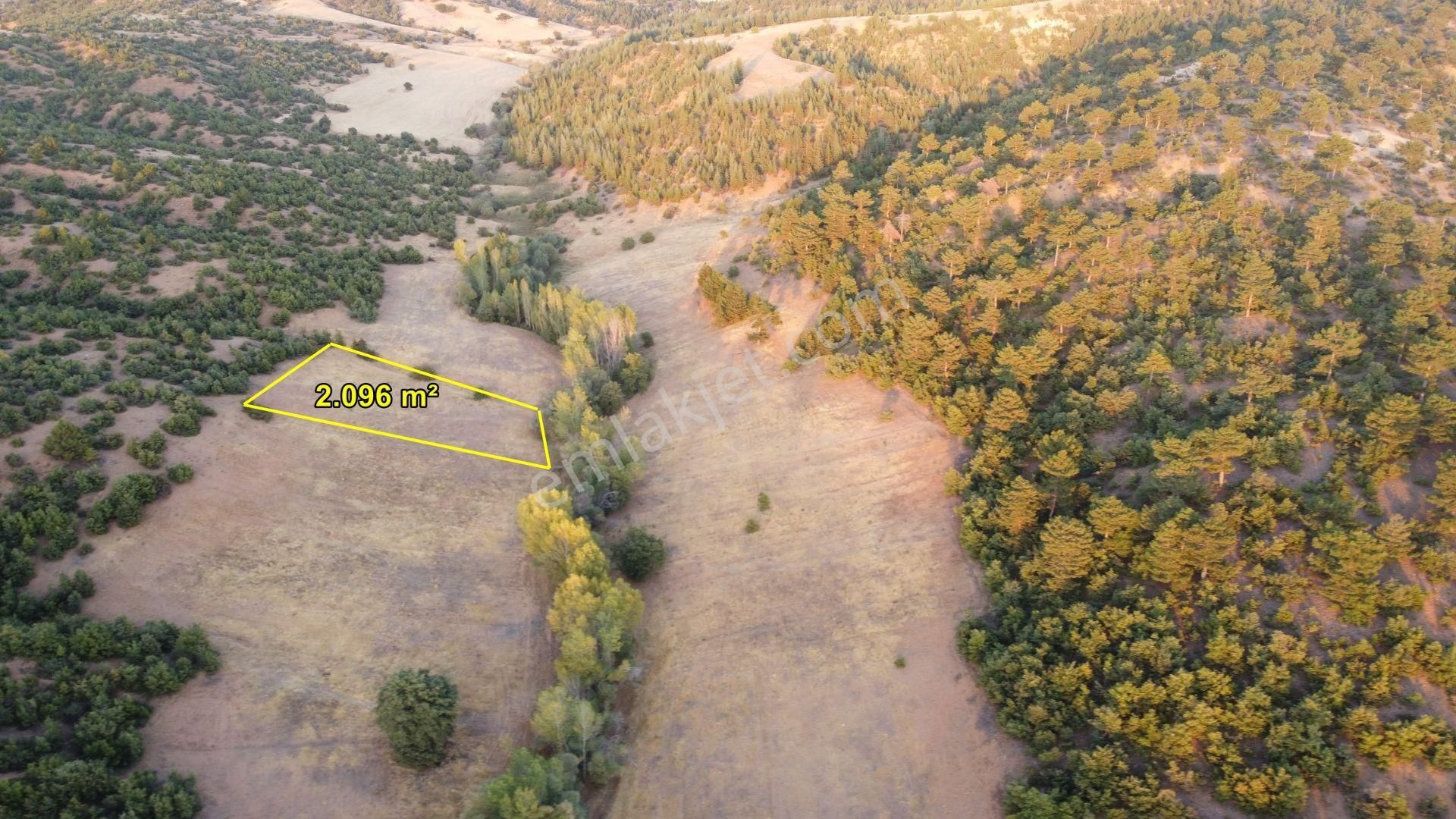 Konya / Ilgın / Belekler'de Ormana Cephe Müstakil 2.096 M² Tarla