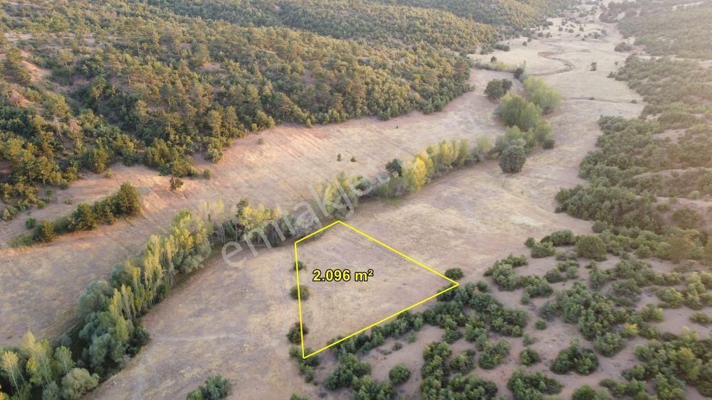 Konya / Ilgın / Belekler'de Ormana Cephe Müstakil 2.096 M² Tarla - Görsel 3