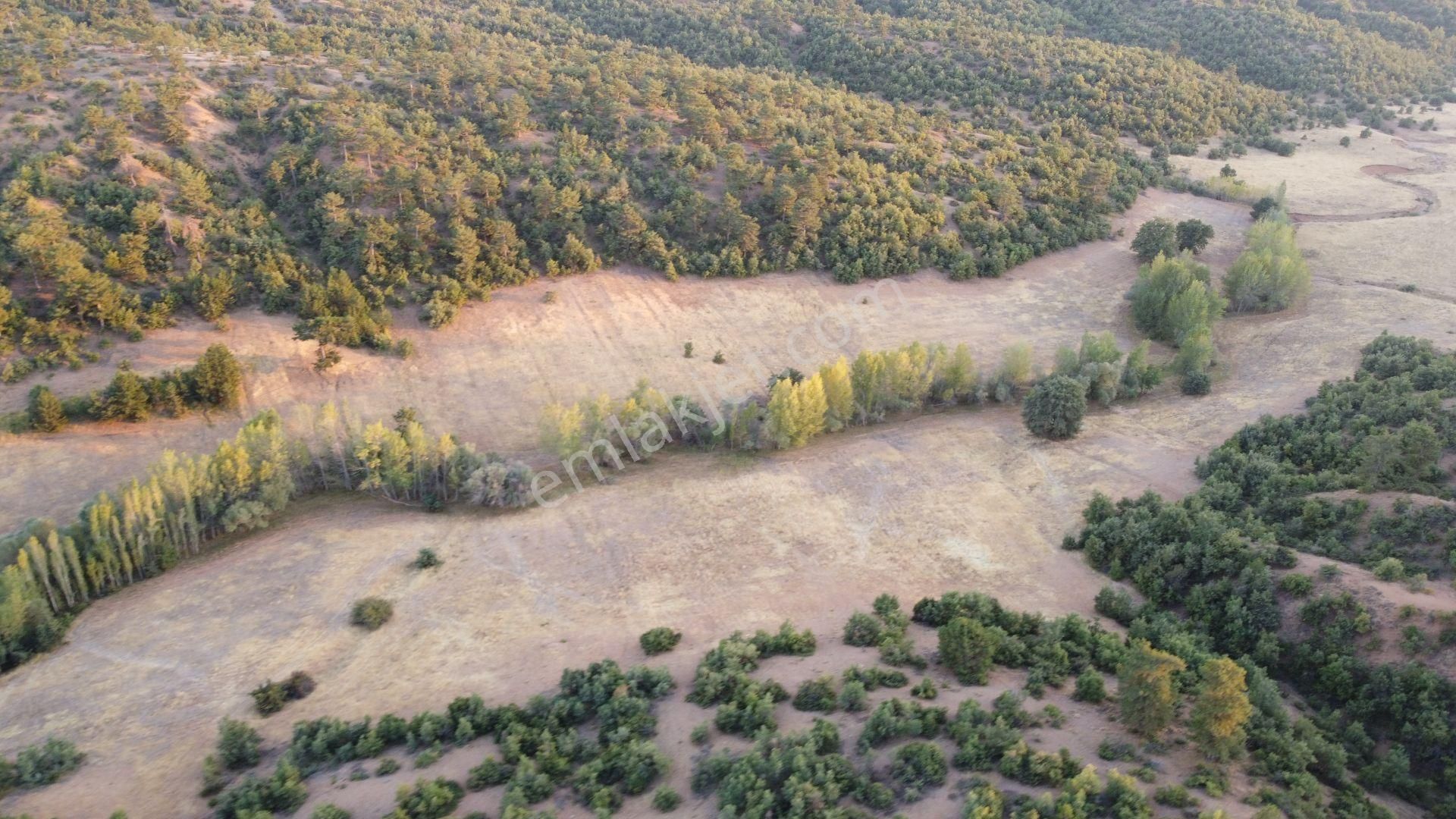 Konya / Ilgın / Belekler'de Ormana Cephe Müstakil 2.096 M² Tarla - Görsel 6