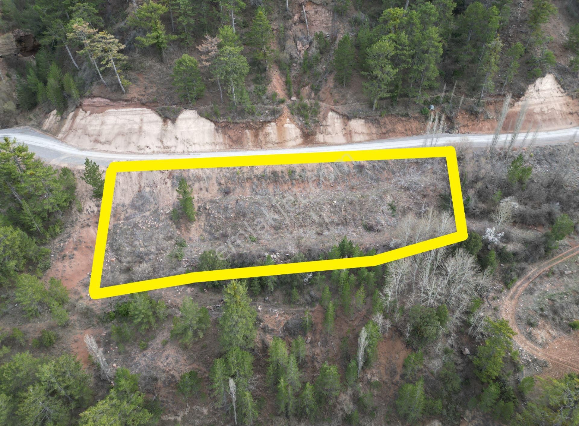 🦋lobby Fortis'ten Satılık Çameli Cevizli'de Yerleşim Sınırında 2212 M² Arazi🦋