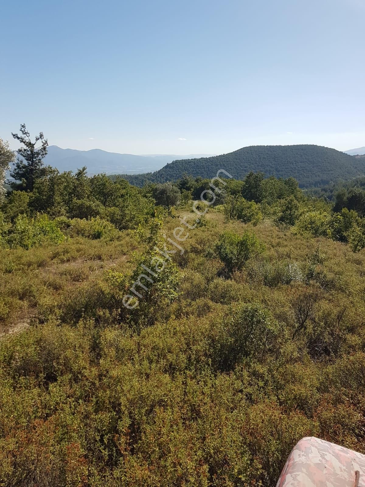 Alp Gayrimenkulden Sakarya, Pamukova'da Satılık Bahçe - Görsel 11