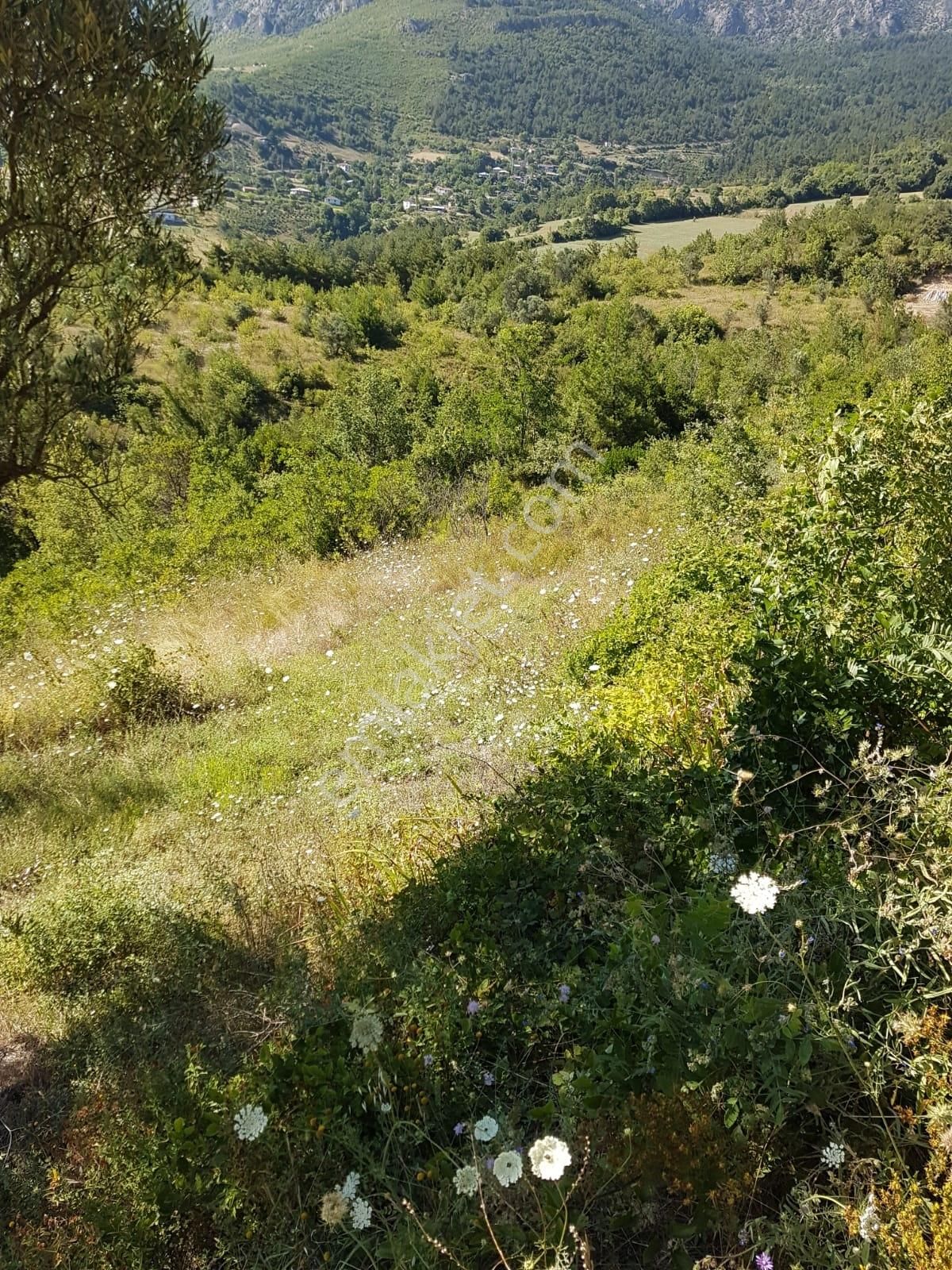 Alp Gayrimenkulden Sakarya, Pamukova'da Satılık Bahçe - Görsel 12