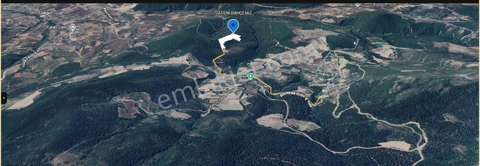 Alp Gayrimenkulden Sakarya, Pamukova'da Satılık Bahçe - Görsel 13