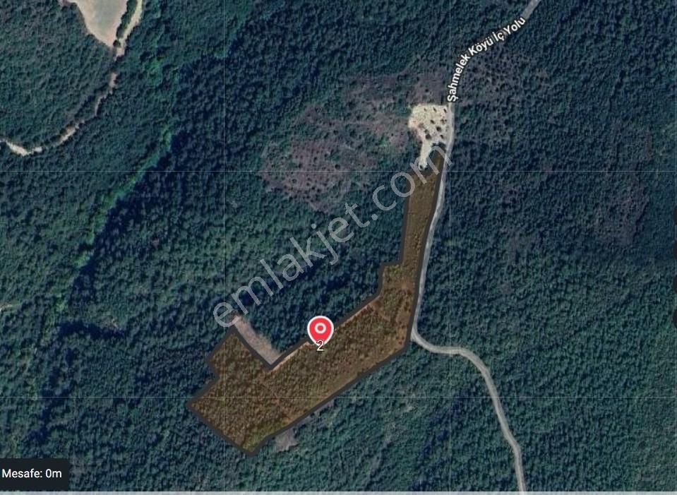 Alp Gayrimenkulden Sakarya, Pamukova'da Satılık Bahçe - Görsel 3