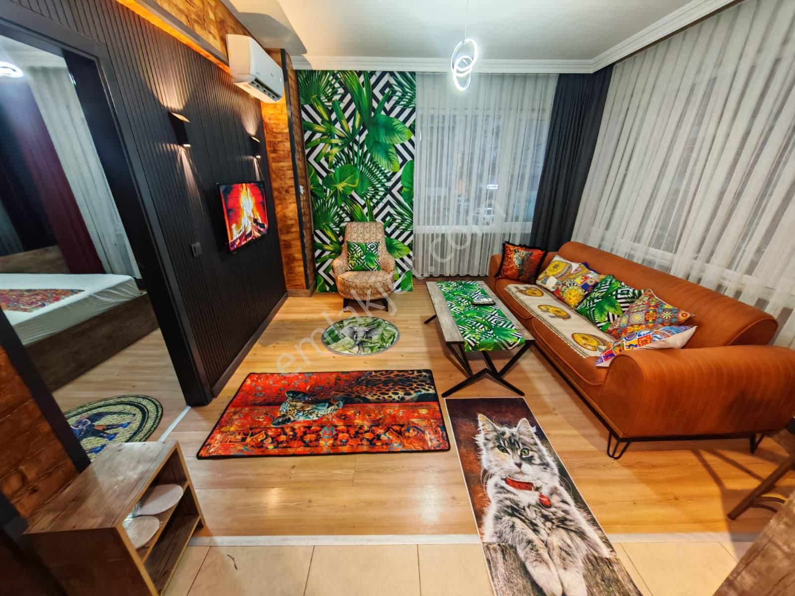 Bursa Merkezde 1+1 Günlük Kiralık Temiz Daireler - Görsel 5