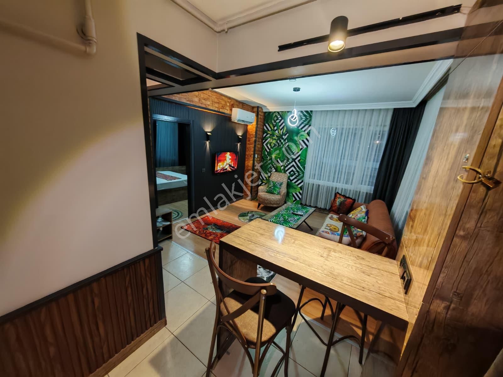 Bursa Merkezde 1+1 Günlük Kiralık Temiz Daireler - Görsel 4