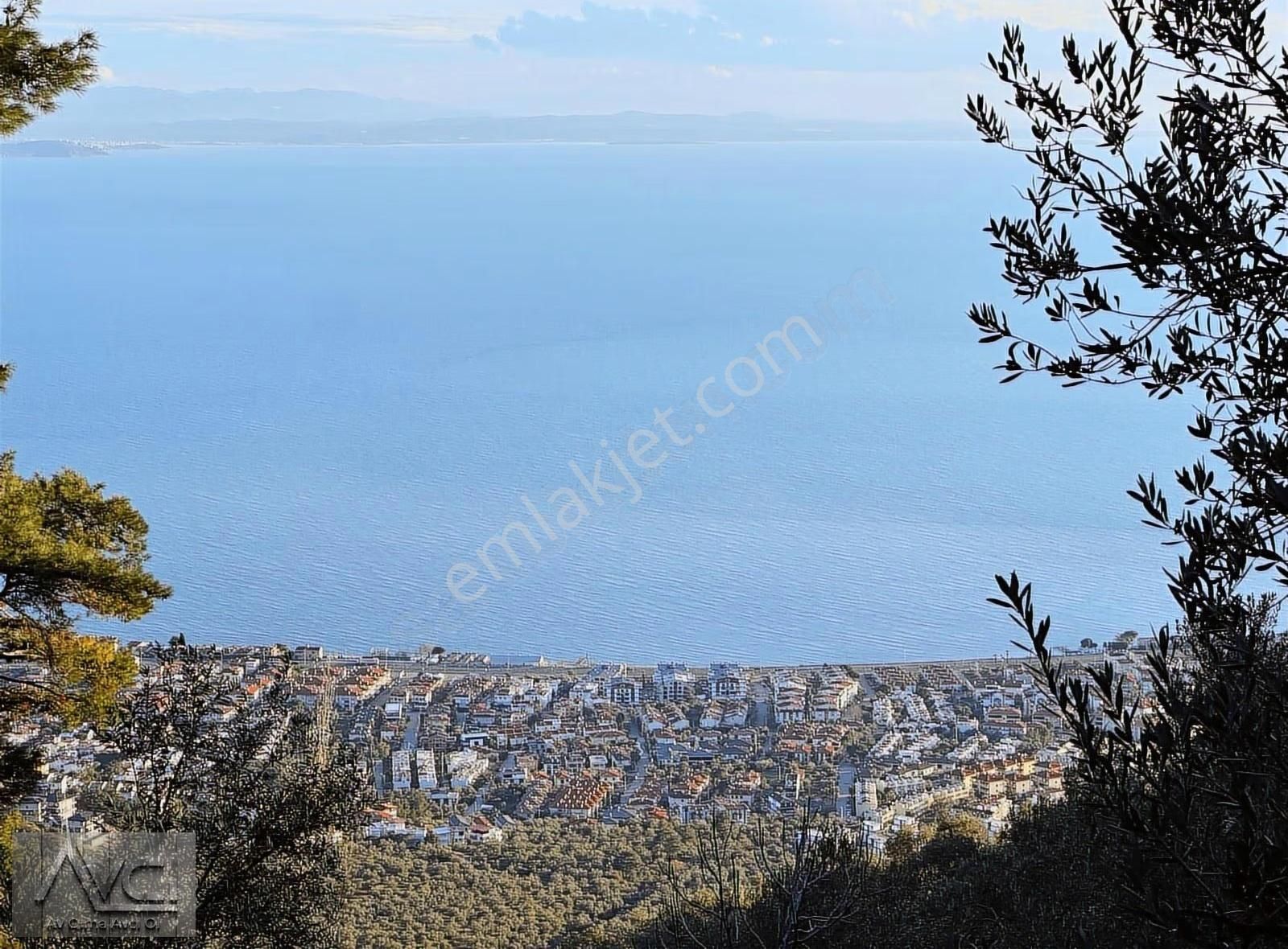 Avcı'dan Altınoluk Cam Seyir Terası Yolunda 5 Dönüm Ful Manzara - Görsel 7