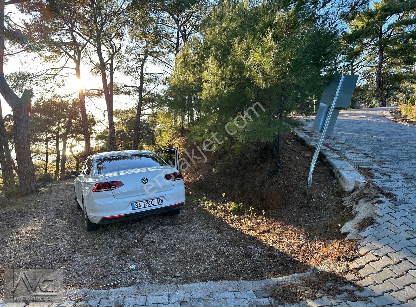 Avcı'dan Altınoluk Cam Seyir Terası Yolunda 5 Dönüm Ful Manzara - Görsel 8