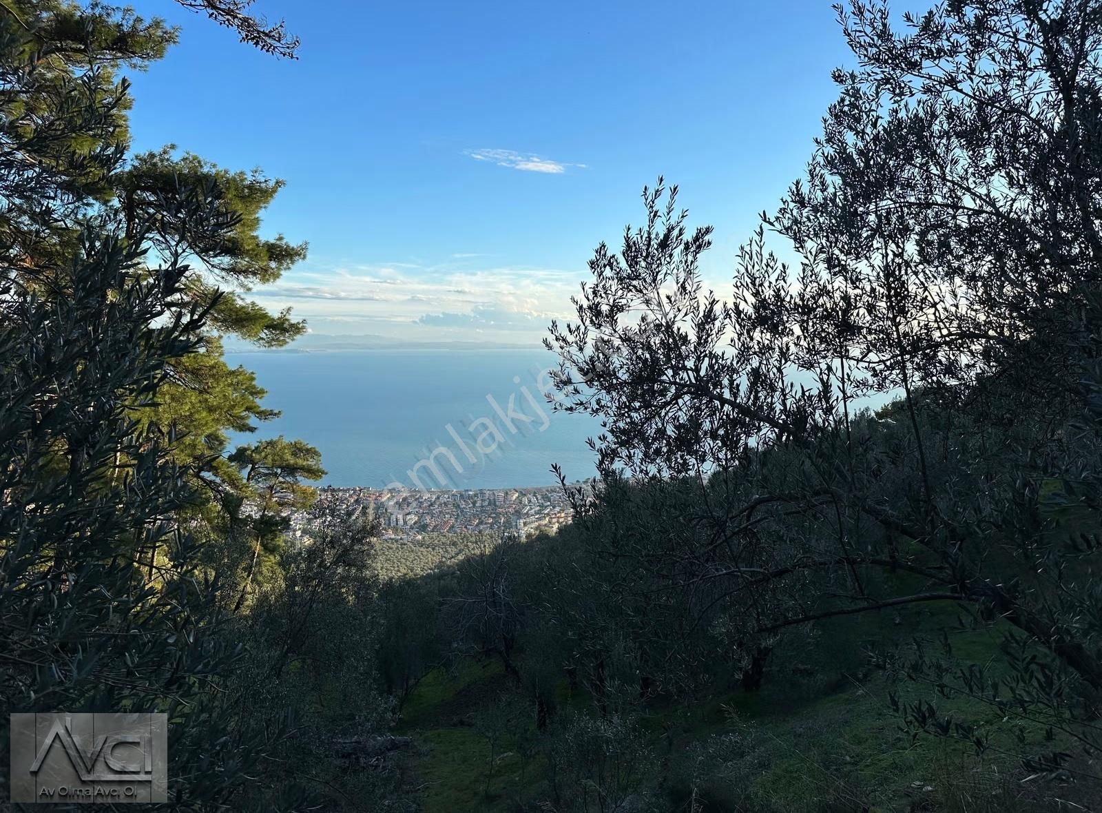 Avcı'dan Altınoluk Cam Seyir Terası Yolunda 5 Dönüm Ful Manzara - Görsel 3