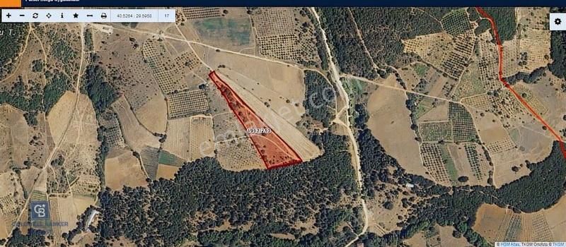 İznik Mahmudiyede Kaçırılmayacak Fırsat! 8.921 M² Satılık Arazi - Görsel 2