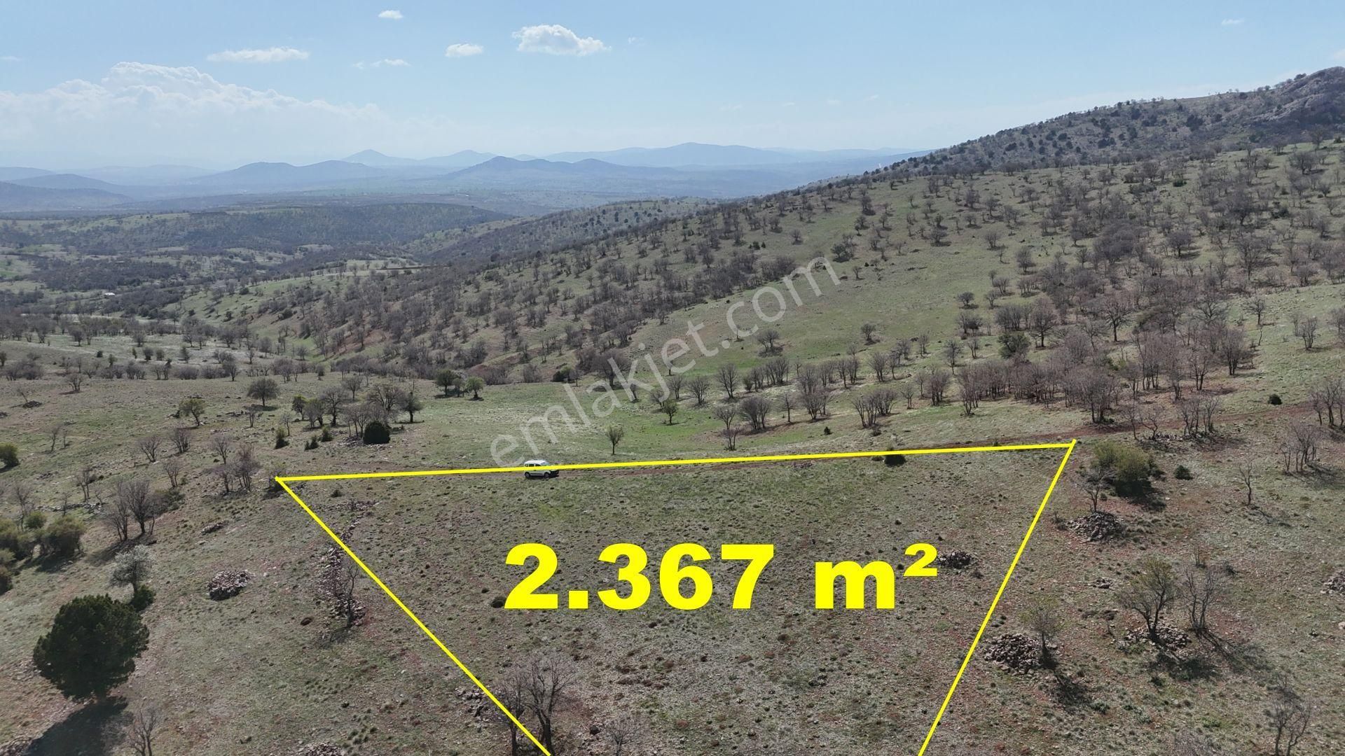 Konya / Güneysınır / Gürağaç Mahallesinde 2.367 M² Müstakil Tapulu Tarla - Görsel 2