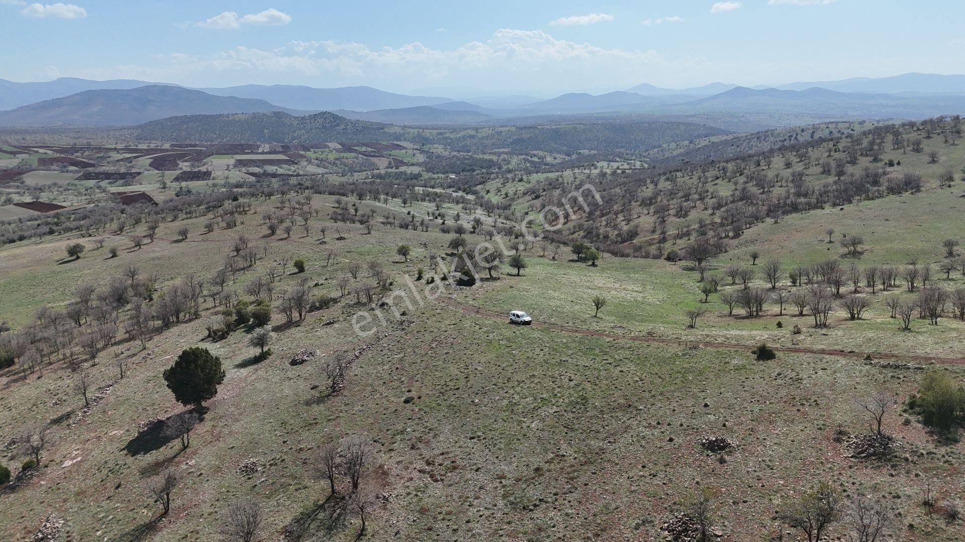 Konya / Güneysınır / Gürağaç Mahallesinde 2.367 M² Müstakil Tapulu Tarla - Görsel 5