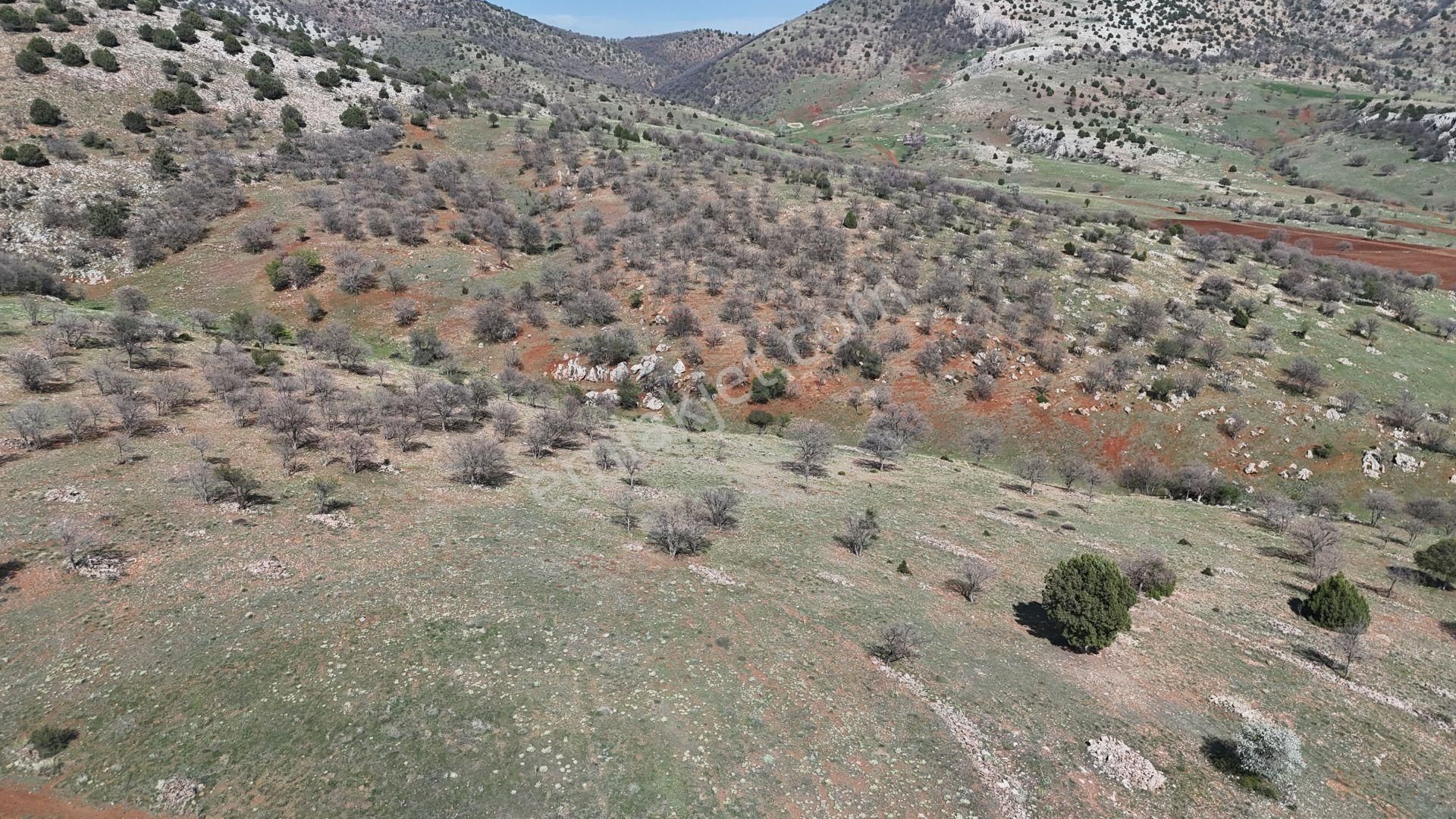 Konya / Güneysınır / Gürağaç Mahallesinde 1.283 M² Müstakil Tapulu Tarla - Görsel 5