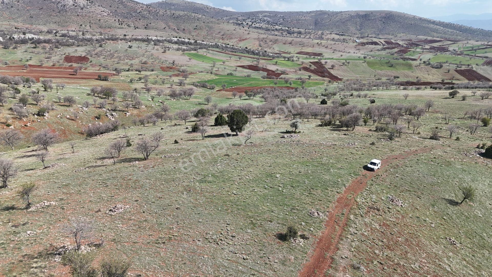 Konya / Güneysınır / Gürağaç Mahallesinde 1.283 M² Müstakil Tapulu Tarla - Görsel 6