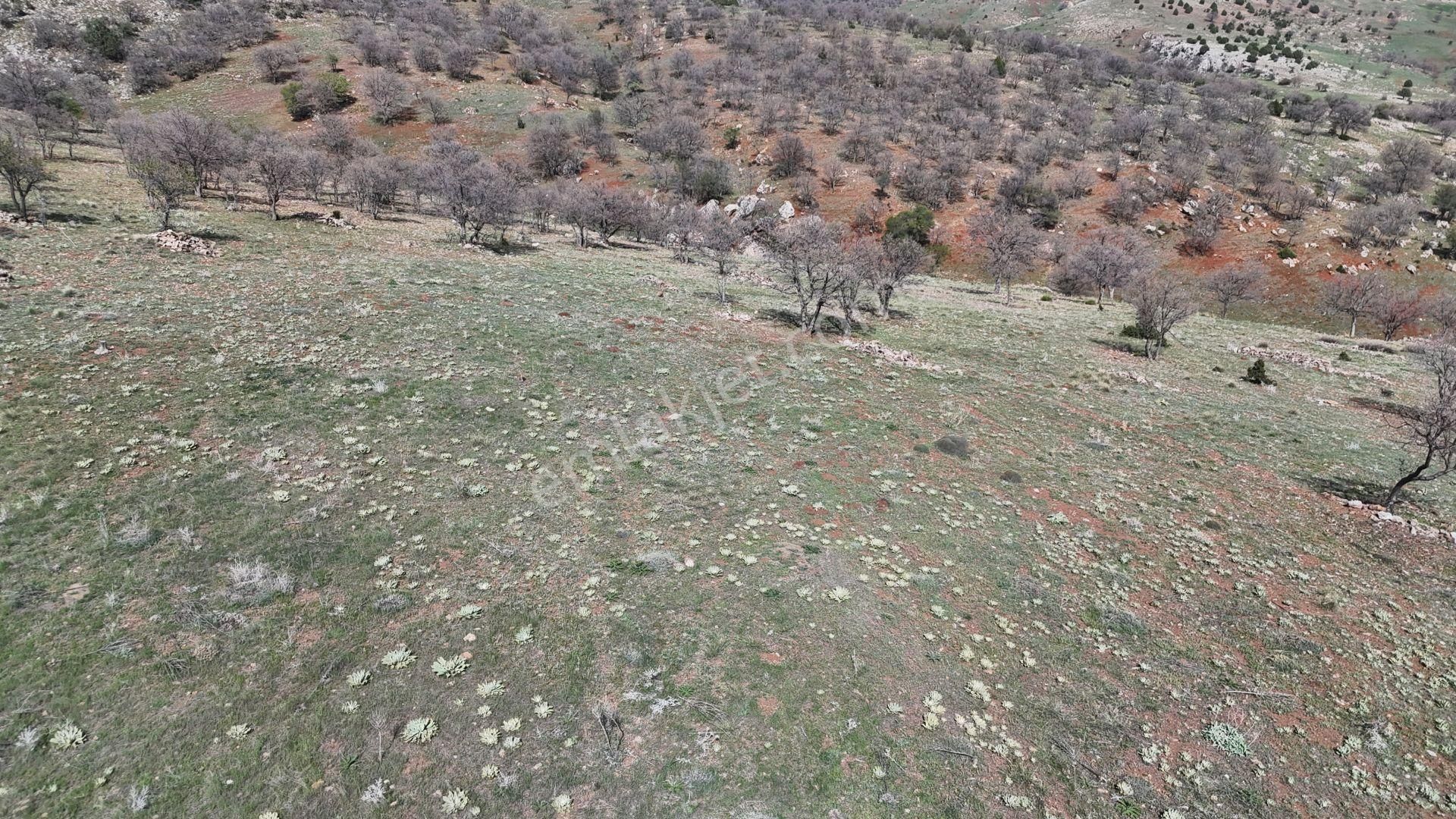Konya / Güneysınır / Gürağaç Mahallesinde 1.283 M² Müstakil Tapulu Tarla - Görsel 7